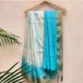 Bhagalpuri Semi Tussar Silk Sarees hanged in hanger