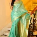 Elegant Tissue Linen Saree with Model Picture