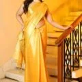 Elegant Tissue Linen Saree with Model Picture