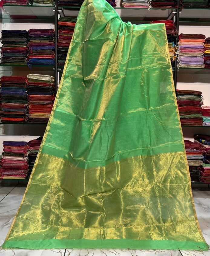 Tissue Linen Saree Golden Zari Border with Model and Some saree in background