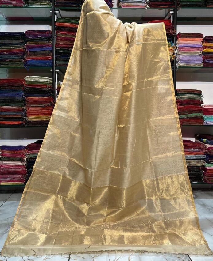 Tissue Linen Saree Golden Zari Border with Model and Some saree in background