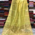 Tissue Linen Saree Golden Zari Border with Model and Some saree in background