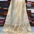 Tissue Linen Saree Golden Zari Border with Model and Some saree in background