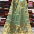 Tissue Linen Saree Golden Zari Border with Model and Some saree in background