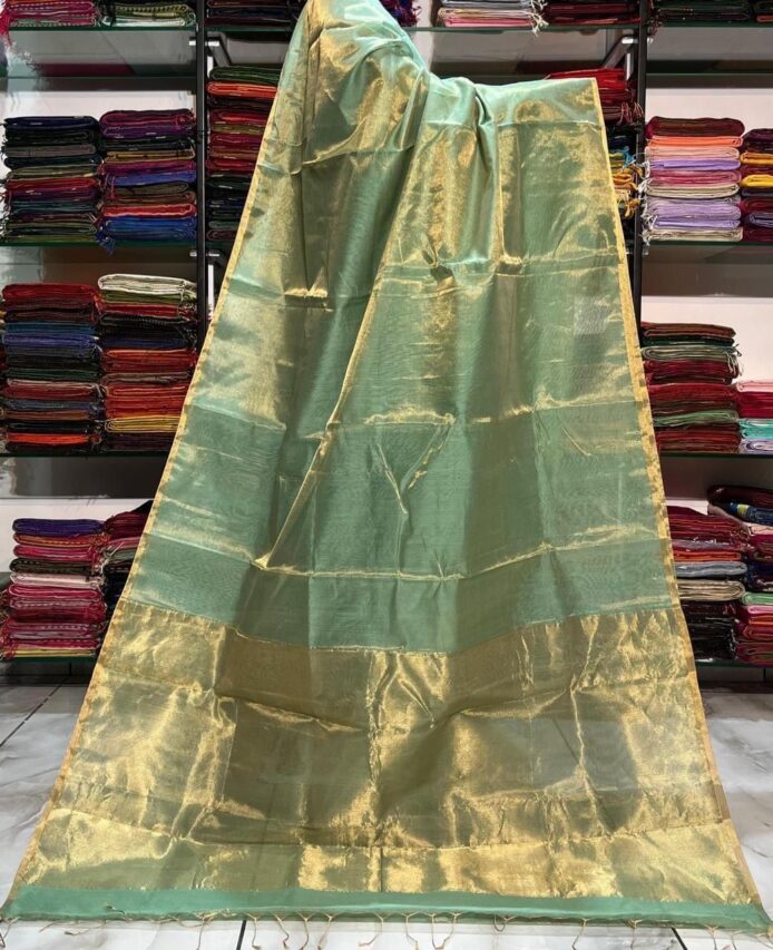 Tissue Linen Saree Golden Zari Border with Model and Some saree in background