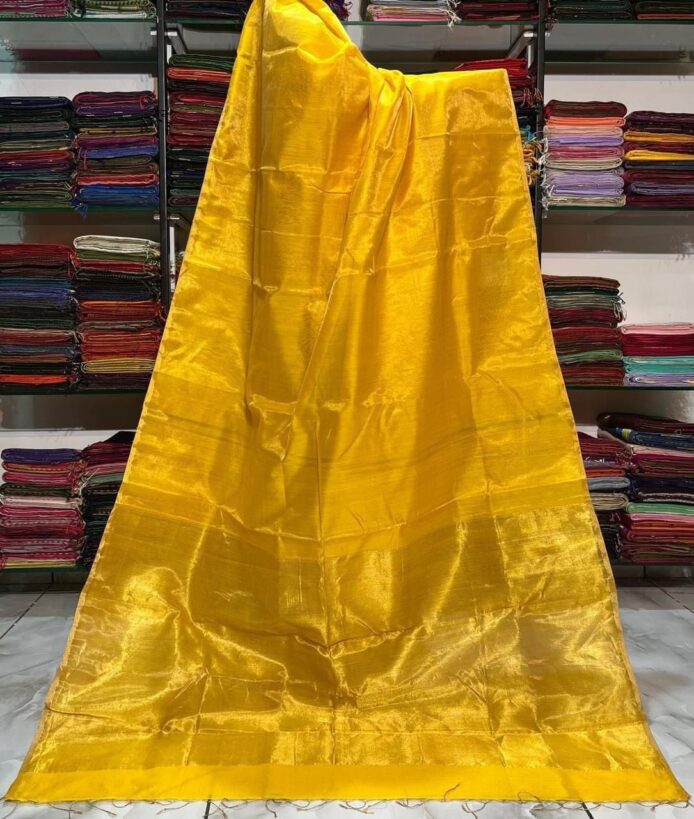 Tissue Linen Saree Golden Zari Border with Model and Some saree in background