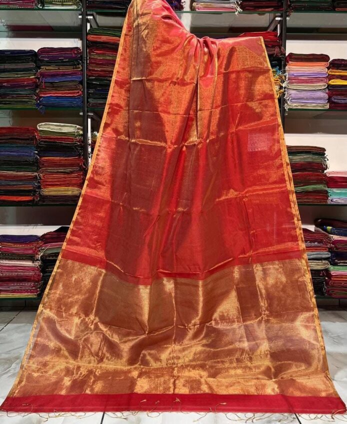Tissue Linen Saree Golden Zari Border with Model and Some saree in background