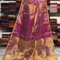 Tissue Linen Saree Golden Zari Border with Model and Some saree in background