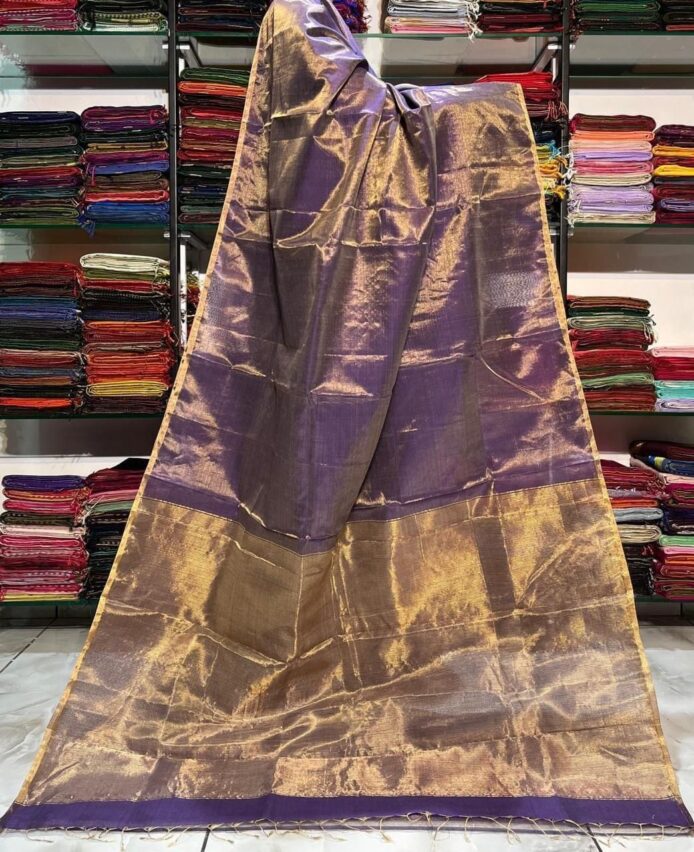 Tissue Linen Saree Golden Zari Border with Model and Some saree in background