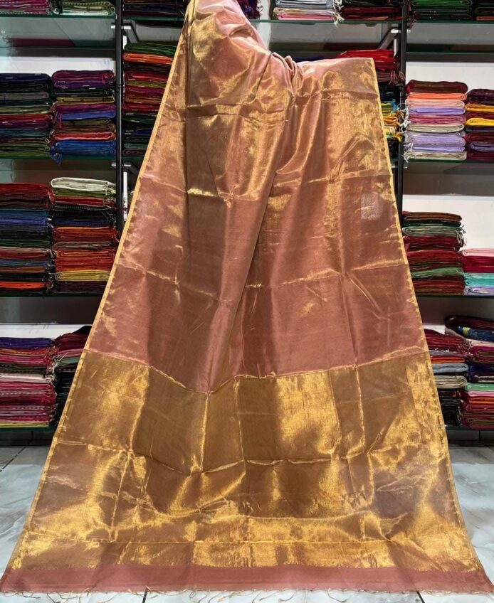 Tissue Linen Saree Golden Zari Border with Model and Some saree in background